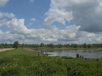 NL, Noord-Brabant, Drimmelen, Polder Lange Plaat 7, Saxifraga-Jan van der Straaten