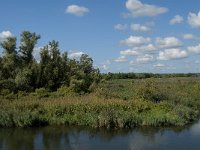 NL, Noord-Brabant, Drimmelen, Polder Moordplaat 11, Saxifraga-Jan van der Straaten