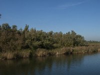 NL, Noord-Brabant, Drimmelen, Polder Moordplaat 3, Saxifraga-Jan van der Straaten