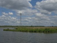 NL, Noord-Brabant, Drimmelen, Polder Turfzakken 1, Saxifraga-Jan van der Straaten