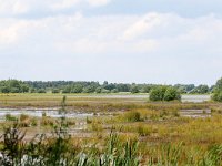 NL, Noord-Brabant, Drimmelen, Polder Turfzakken 9, Saxifraga-Bart Vastenhouw