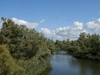 NL, Noord-Brabant, Drimmelen, Rupsenhoek 11, Saxifraga-Jan van der Straaten