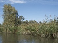 NL, Noord-Brabant, Drimmelen, Sloot Beneden Petrus 3, Saxifraga-Willem van Kruijsbergen