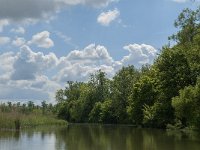 NL, Noord-Brabant, Drimmelen, Sloot van St Jan 3, Saxifraga-Jan van der Straaten