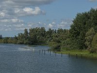 NL, Noord-Brabant, Drimmelen, Spaarbekken Petrusplaat 3, Saxifraga-Jan van der Straaten