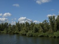 NL, Noord-Brabant, Drimmelen, Steurgat 5, Saxifraga-Jan van der Straaten