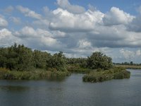 NL, Noord-Brabant, Drimmelen, Steurgat 7, Saxifraga-Jan van der Straaten