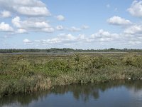 NL, Noord-Brabant, Drimmelen, Steurgat, Polder Moordplaat 2, Saxifraga-Willem van Kruijsbergen