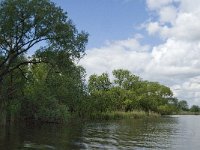 NL, Noord-Brabant, Drimmelen, Zijkgat 1, Saxifraga-Jan van der Straaten