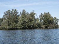 NL, Noord-Brabant, Drimmelen, Zuidergat van de Visschen 12, Saxifraga-Willem van Kruijsbergen