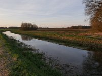 NL, Noord-Brabant, Eersel, Kleine Beerze in Molenbroek 2, Saxifraga-Tom Heijnen