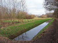 NL, Noord-Brabant, Eersel, Spekdonken 5, Saxifraga-Tom Heijnen