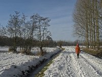 NL, Noord-Brabant, Eindhoven, Bokt 17, Saxifraga-Jan van der Straaten