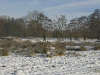 NL, Noord-Brabant, Eindhoven, Bokt 4, Saxifraga-Marijke Verhagen