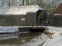 NL, Noord-Brabant, Eindhoven, Collse Molen 5, Saxifraga-Marijke Verhagen