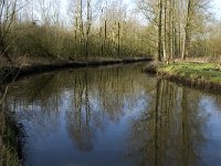 NL, Noord-Brabant, Eindhoven, De Bogten, Dommel 11, Saxifraga-Jan van der Straaten