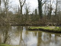 NL, Noord-Brabant, Eindhoven, Dommel and Tongelreep 10, Saxifraga-Marijke Verhagen