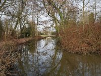 NL, Noord-Brabant, Eindhoven, Dommel in Dommelplantsoen 1, Saxifraga-Tom Heijnen