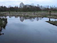 NL, Noord-Brabant, Eindhoven, Dommel in Genneper Parken 1, Saxifraga-Tom Heijnen