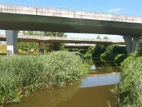 NL, Noord-Brabant, Eindhoven, Dommel near De Hogt 1, Saxifraga-Tom Heijnen