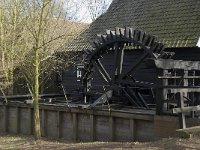 NL, Noord-Brabant, Eindhoven, Genneper Watermolen 2, Saxifraga-Marijke Verhagen