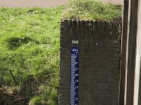 NL, Noord-Brabant, Eindhoven, Genneper Watermolen 6, Saxifraga-Jan van der Straaten