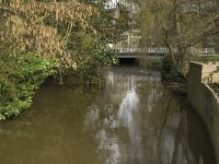 NL, Noord-Brabant, Eindhoven, Paradijslaan 4, Saxifraga-Marijke Verhagen