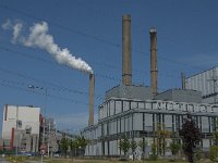 NL, Noord-Brabant, Geertruidenberg, Amercentrale 10, Saxifraga-Jan van der Straaten