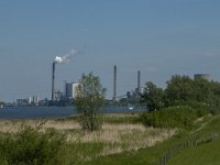 NL, Noord-Brabant, Geertruidenberg, Amercentrale 5, Saxifraga-Jan van der Straaten