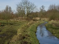 NL, Noord-Brabant, Geldrop-Mierlo, Gijzenrooische Zegge 14, Saxifraga-Jan van der Straaten