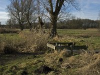 NL, Noord-Brabant, Geldrop-Mierlo, Gijzenrooische Zegge 21, Saxifraga-Jan van der Straaten