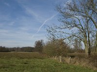 NL, Noord-Brabant, Geldrop-Mierlo, Gijzenrooische Zegge 3, Saxifraga-Jan van der Straaten