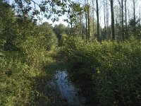 NL, Noord-Brabant, Goirle, De Noordpaal 1, Saxifraga-Jan van der Straaten