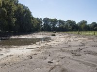 NL, Noord-Brabant, Goirle, Landgoed De Hoevens 33, Saxifraga-Willem van Kruijsbergen