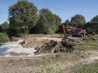 NL, Noord-Brabant, Goirle, Landgoed De Hoevens 40, Saxifraga-Willem van Kruijsbergen