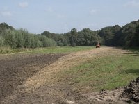 NL, Noord-Brabant, Goirle, Landgoed De Hoevens 58, Saxifraga-Willem van Kruijsbergen