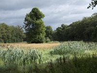 NL, Noord-Brabant, Goirle, Ooijevaarsnest 1, Saxifraga-Willem van Kruijsbergen