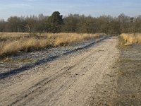 NL, Noord-Brabant, Goirle, Regte Heide 14, Saxifraga-Jan van der Straaten