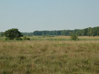 NL, Noord-Brabant, Goirle, Regte Heide 55, Saxifraga-Willem van Kruijsbergen