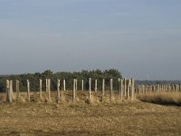 NL, Noord-Brabant, Goirle, Regte Heide 61, Saxifraga-Jan van der Straaten