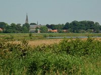 NL, Noord-Brabant, Goirle, Riels Laag 7, Saxifraga-Willem van Kruijsbergen