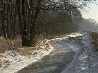 NL, Noord-Brabant, Heeze-Leende, Goorsche Putten, Strijper Aa 10, Saxifraga-Jan van der Straaten