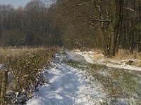 NL, Noord-Brabant, Heeze-Leende, Goorsche Putten, Strijper Aa 5, Saxifraga-Jan van der Straaten