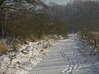 NL, Noord-Brabant, Heeze-Leende, Goorsche Putten, Strijper Aa 7, Saxifraga-Jan van der Straaten