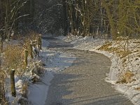 NL, Noord-Brabant, Heeze-Leende, Goorsche Putten, Strijper Aa 8, Saxifraga-Jan van der Straaten