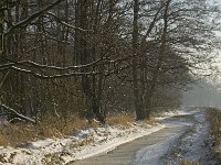 NL, Noord-Brabant, Heeze-Leende, Goorsche Putten, Strijper Aa 9, Saxifraga-Jan van der Straaten