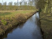 NL, Noord-Brabant, Heeze-Leende, Groote Aa, Kasteel Heeze 1, Saxifraga-Jan van der Straaten