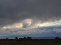 NL, Noord-Brabant, Heeze-Leende, Groote Heide 19, Saxifraga-Tom Heijnen