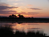 NL, Noord-Brabant, Heeze-Leende, Klein Kraanven in Groote Heide 1, Saxifraga-Tom Heijnen