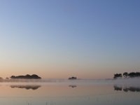 NL, Noord-Brabant, Heeze-Leende, Klein Kraanven in Groote Heide 4, Saxifraga-Tom Heijnen